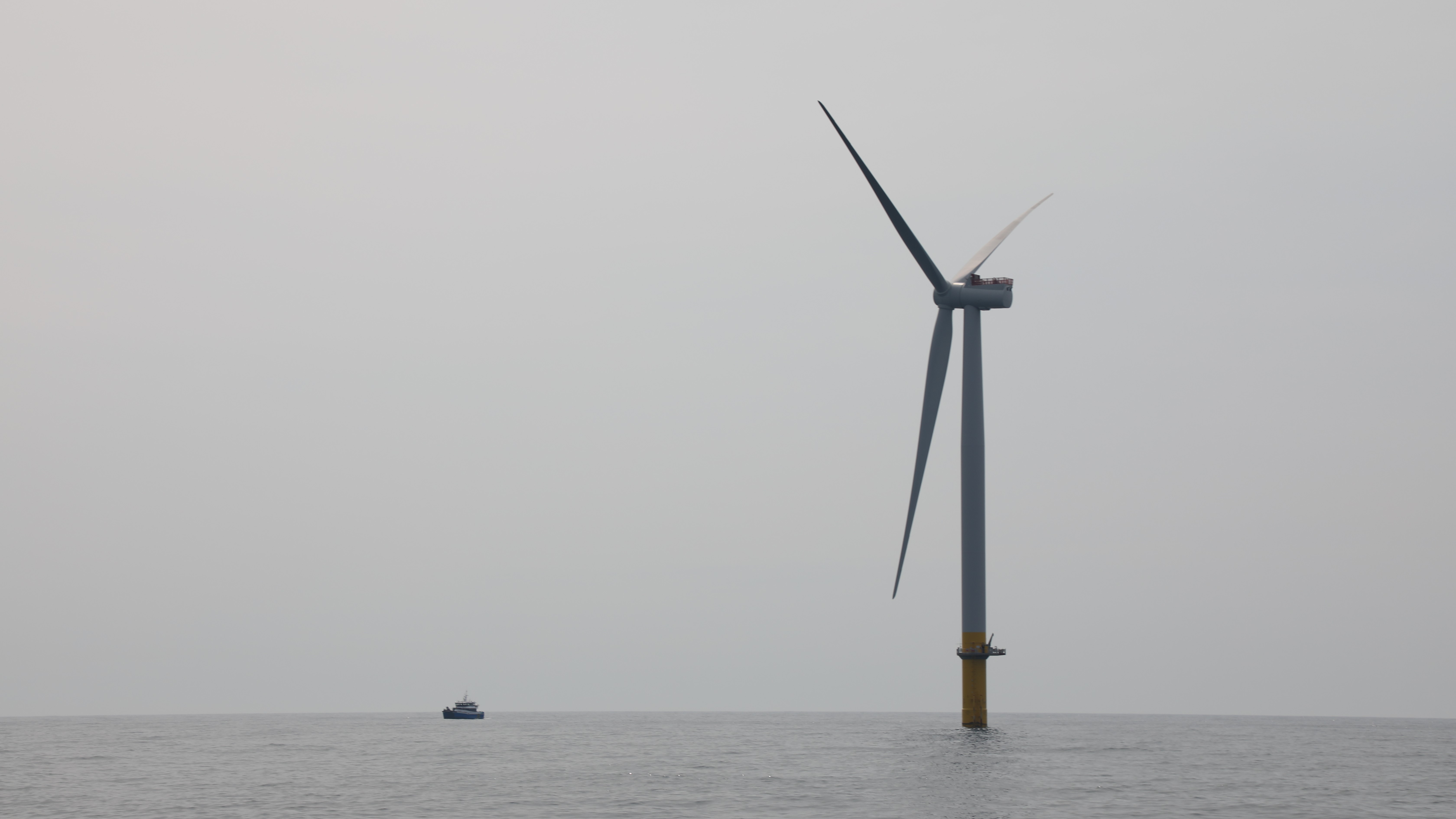 A Dominion Energy wind turbine off Virginia's coast. (Image: Laura Philion/WHRO News)
