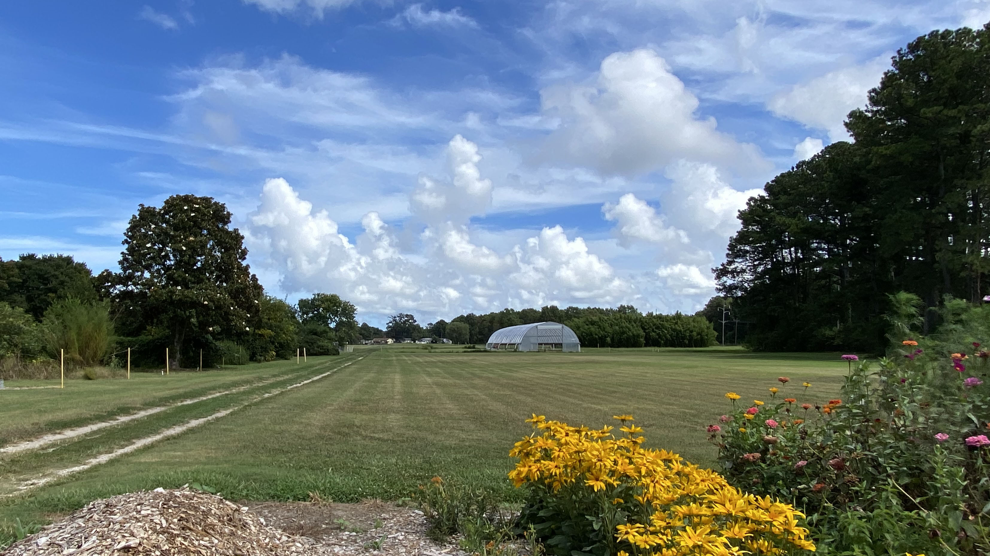 Testing fields at the Hampton Roads Agricultural Research and Extension Center in Virginia Beach in August 2022, with a pollinator garden in the foreground.