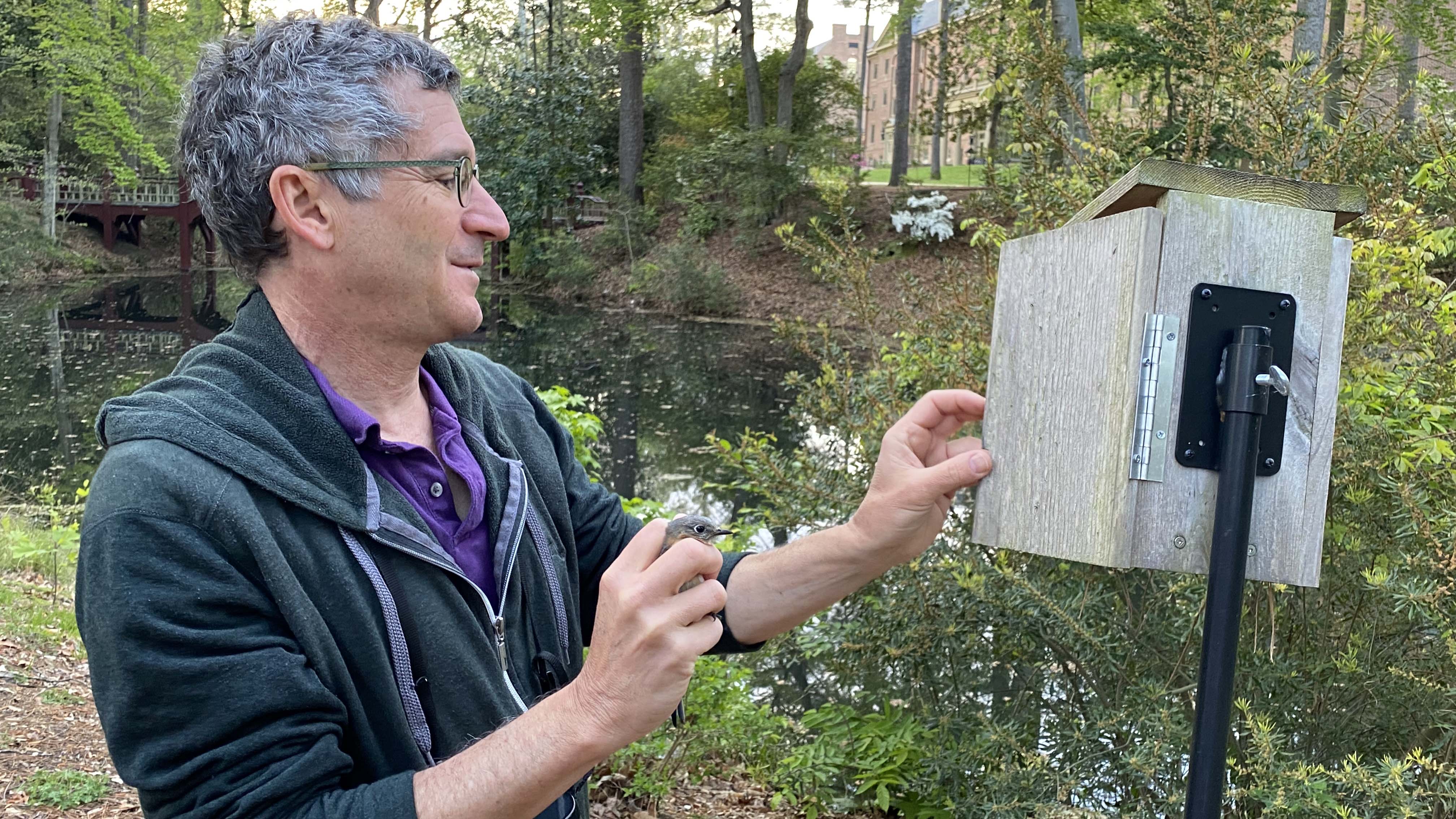 Professor Dan Cristol returns a bird to a birdhouse along the Crim Dell on William & Mary’s campus on Friday, April 22, 2022. Photo by Katherine Hafner.