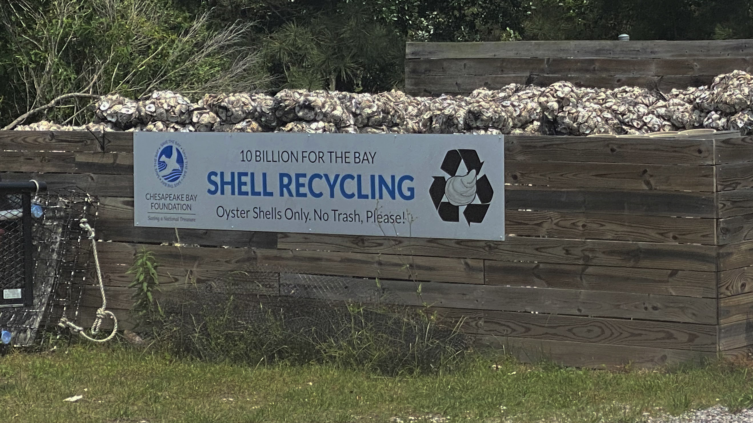 Photo by Katherine Hafner. An oyster shell recycling dropoff at the Brock Environmental Center in Virginia Beach.