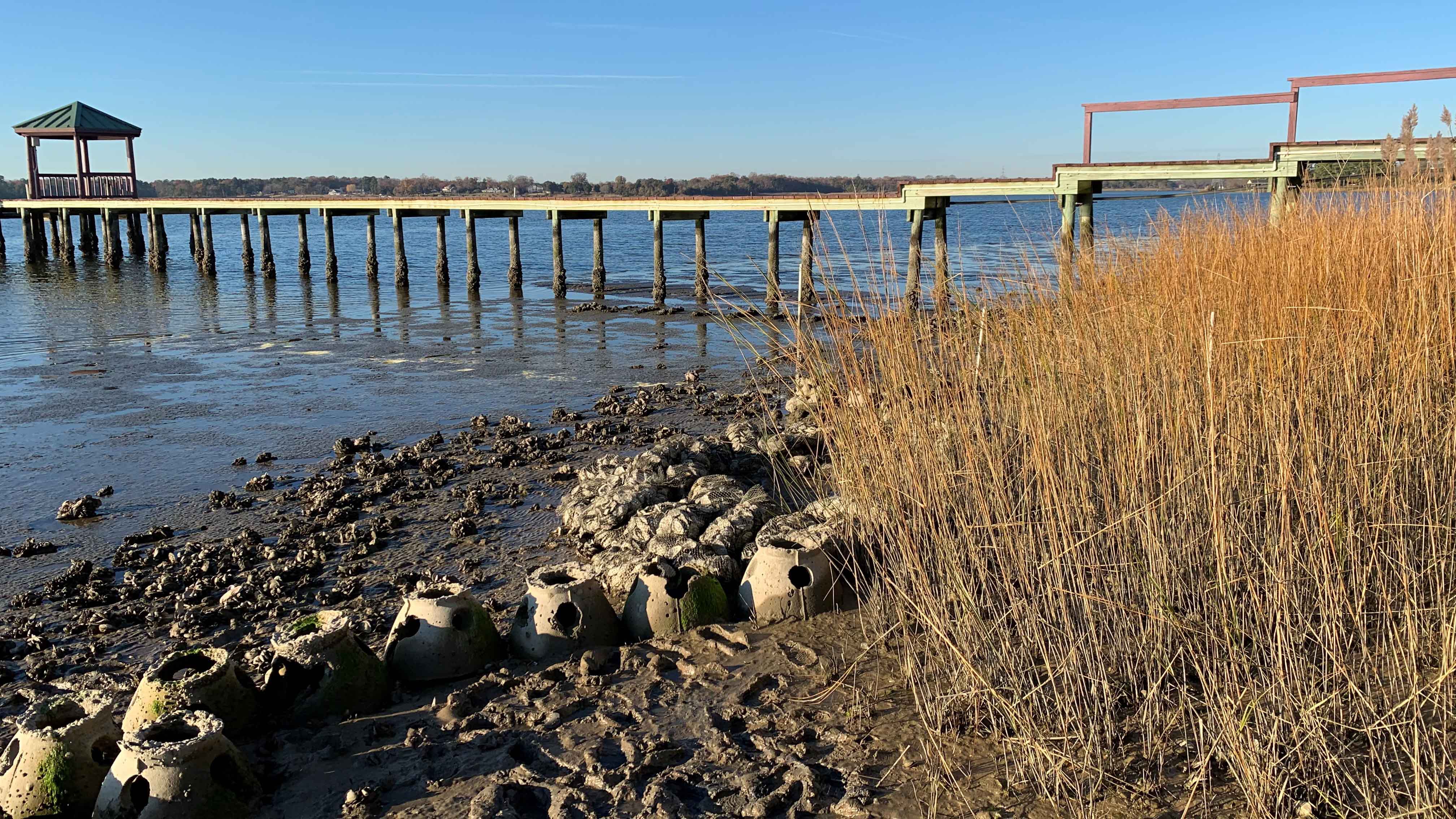 Photo by Katherine Hafner. A living shoreline along the Nansemond River featuring oyster reefs. A new educational partnership in Hampton Roads will teach students about the environment.