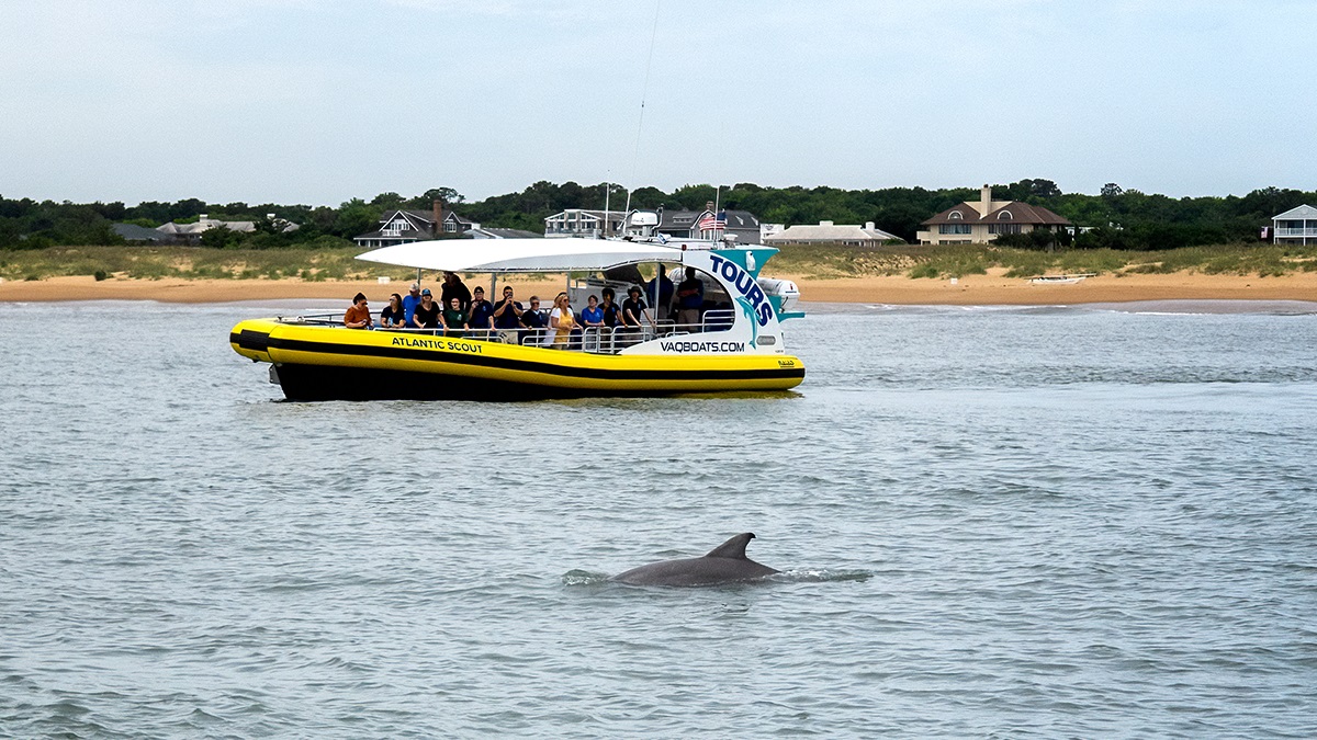 The Atlantic Scout is much lower to the water than previous tour vessels, getting visitors a closer look at Virginia Beach’s dolphins. (Courtesy of the Virginia Aquarium & Marine Science Center)
